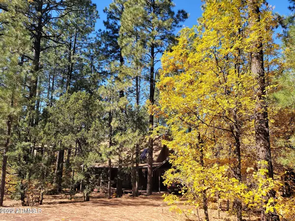 Pinetop, AZ 85935,1690 E ARROWHEAD Lane
