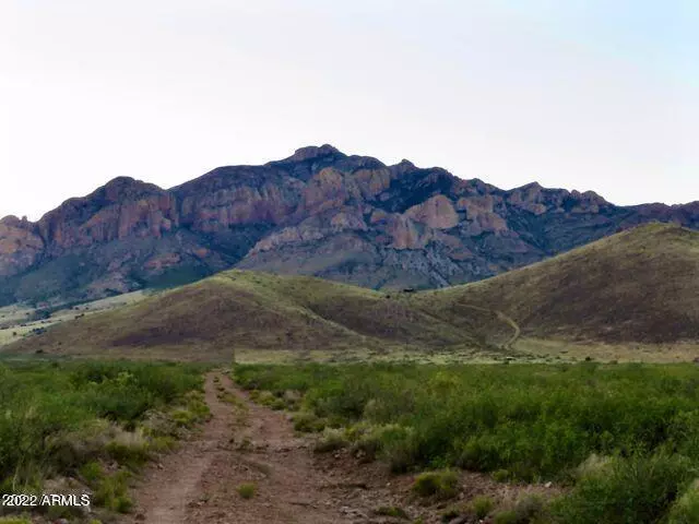 Owl Butte Trail 80 Acres -- #-, Portal, AZ 85632