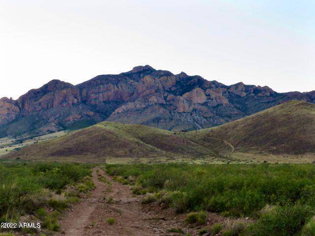 Owl Butte Trail 80 Acres -- #-, Portal, AZ 85632