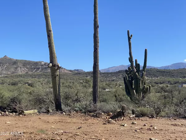 Black Canyon City, AZ 85324,32601 S LISA Drive #11