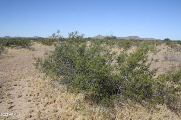 Tacna, AZ 85352,10 E Old hwy 80 View E #-