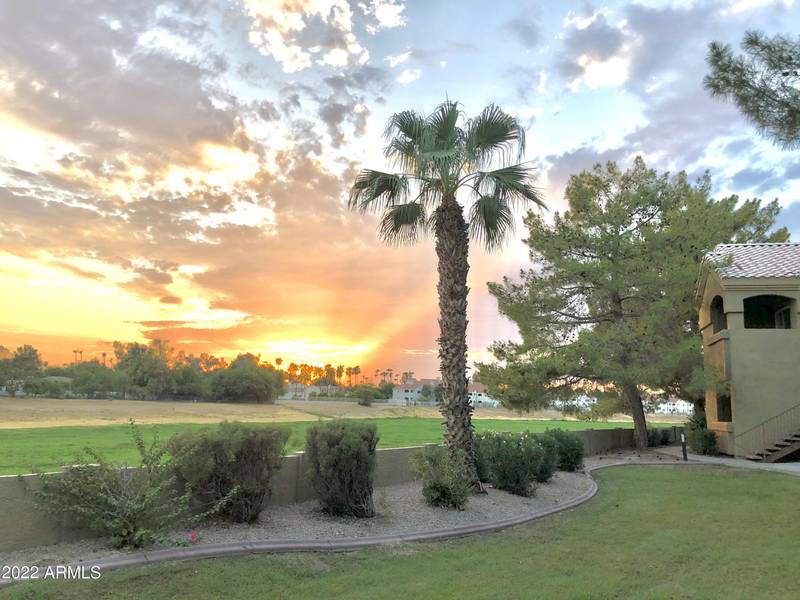 5335 E SHEA Boulevard #2041, Scottsdale, AZ 85254