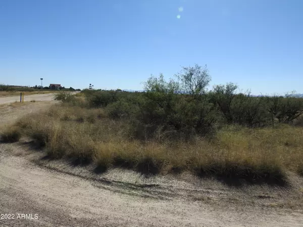 Willcox, AZ 85643,0 N Virginia Avenue #-