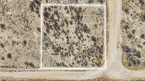 Willcox, AZ 85643,45 TOPO -- #-