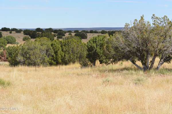 Heber, AZ 85928,0 Well 4 Road #-