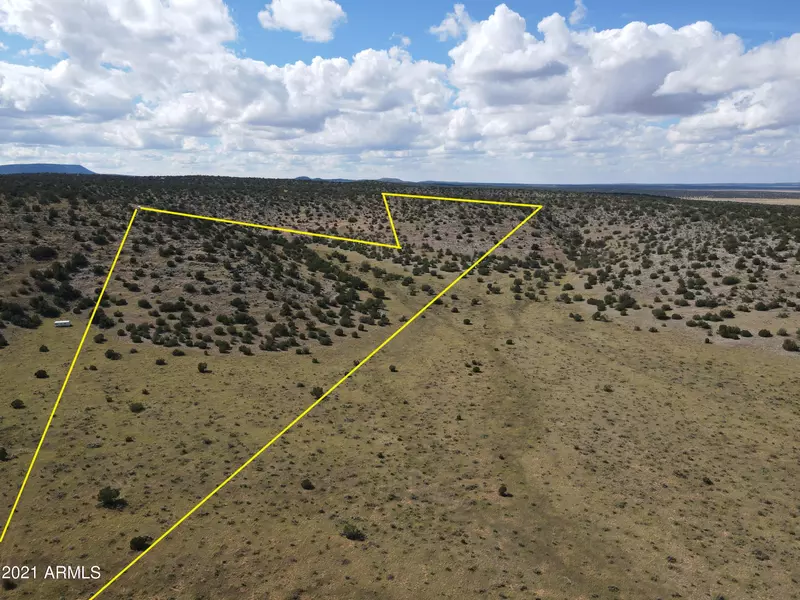 1288 Sierra Verde Ranch -- #1288, Seligman, AZ 86337