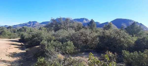 Globe, AZ 85501,329 E RANCH CREEK Road ##4