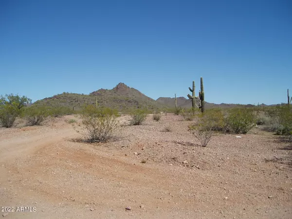 31455 W Painted Wagon Trail #193, Unincorporated County, AZ 85361