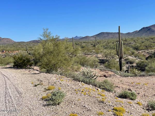 Morristown, AZ 85342,46 N Quiet Hills Drive #-