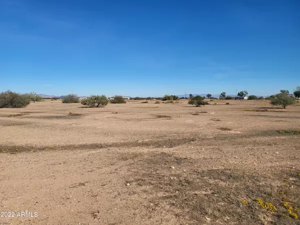 Tonopah, AZ 85354,434 W Cheery Lynn Road #8