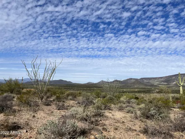 New River, AZ 85087,452 N 16TH Street #-