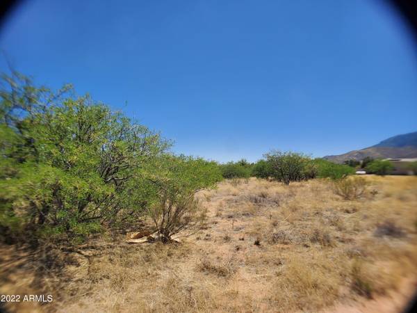 S MIR Way #LOT 24,  Hereford,  AZ 85615