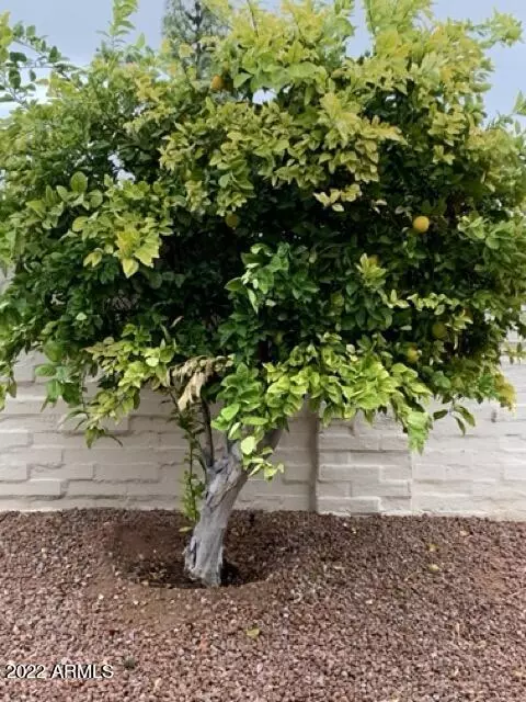 Sun City, AZ 85373,17453 N 106TH Avenue