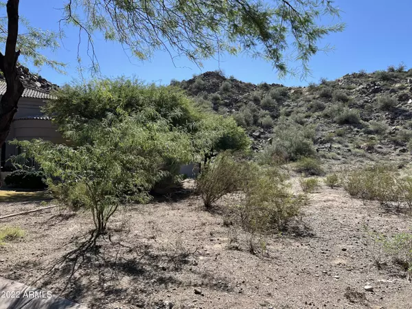 Phoenix, AZ 85048,14252 S 14TH Street #12