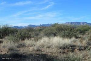 Benson, AZ 85602,0 W Rabbit Trail #11