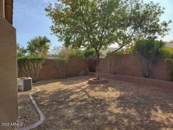 San Tan Valley, AZ 85143,733 E MARIGOLD Place