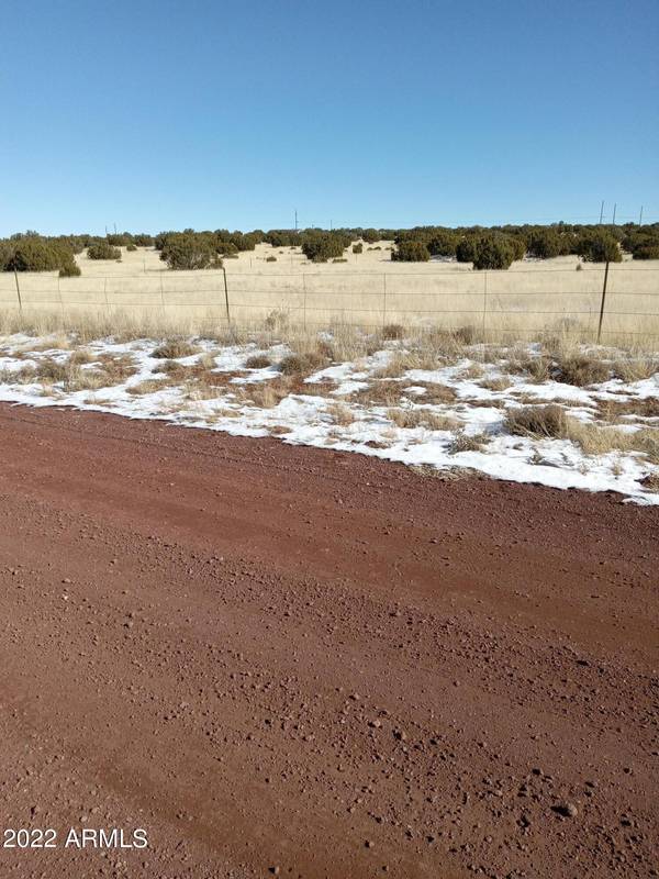 34 COUNTY ROAD 8209 -- #336,  Concho,  AZ 85924