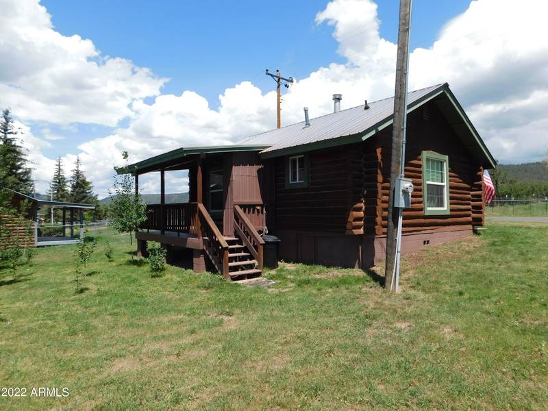 42 COUNTY ROAD 2051 --, Alpine, AZ 85920