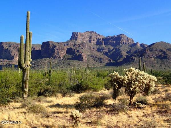 Apache Junction, AZ 85119,550 S CAMINO SERENO -- #46