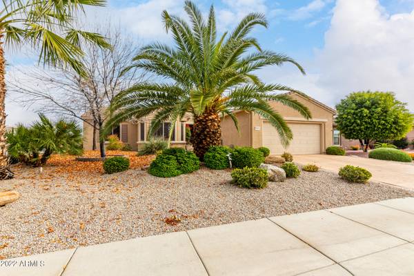 Surprise, AZ 85387,16564 W WILD HORSE Way