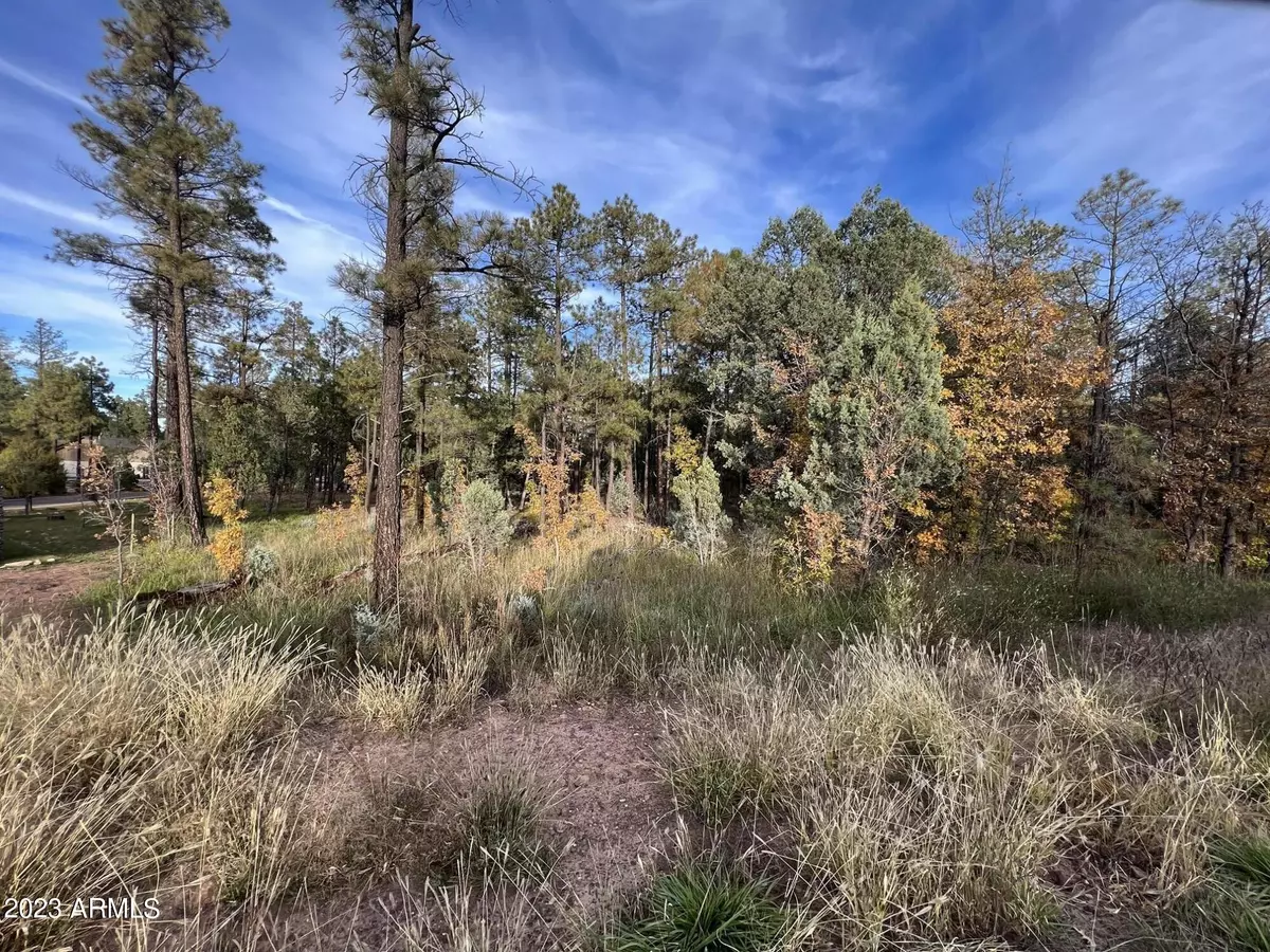 Lakeside, AZ 85929,W White Mountain Boulevard #-