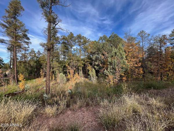 Pinetop-lakeside, AZ 85929,W White Mountain Boulevard #-