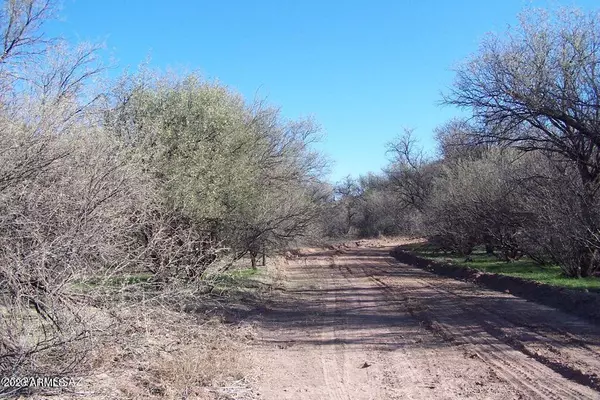 Willcox, AZ 85643,30130 W PRONGHORN RIDGE Road #203