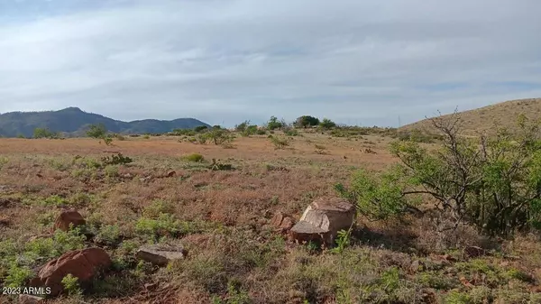 Globe, AZ 85501,1076 E Horseshoe Springs Road #B