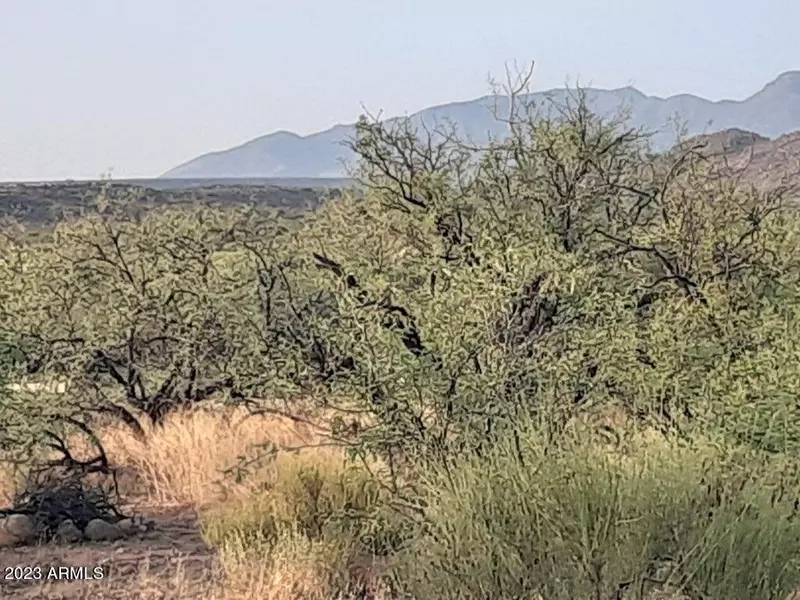 4 Off of Marigold -- #4B, Tonto Basin, AZ 85553