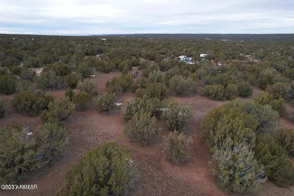 Show Low, AZ 85901,Navajo Dr. 10.69 Acres -- #-