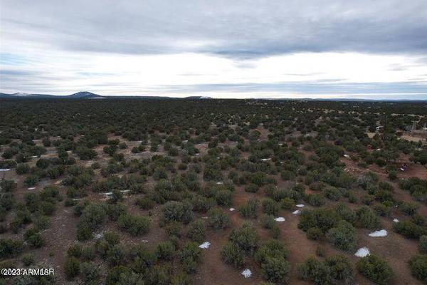 Show Low, AZ 85901,Navajo Dr. 10.69 Acres -- #-