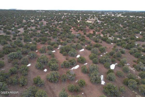 Show Low, AZ 85901,Navajo Dr. 10.69 Acres -- #-