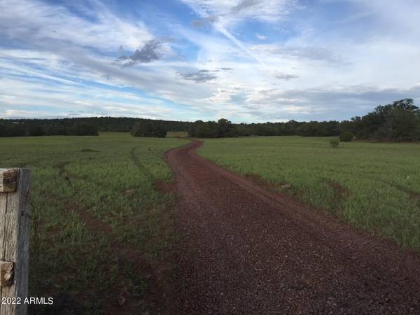 Concho, AZ 85924,0 N County Road 8221 -- #-