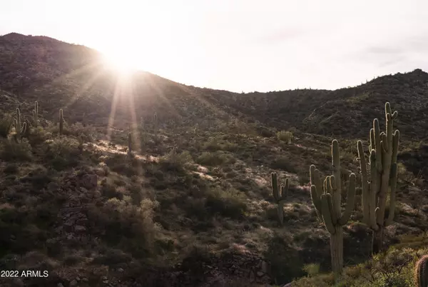 Fountain Hills, AZ 85268,14707 N ADERO CANYON Drive