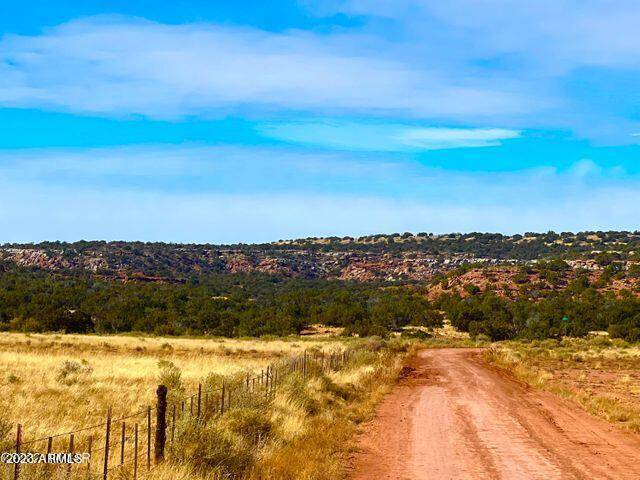 Aztec Rd 40.45 Acres -- #2AKA, Snowflake, AZ 85937