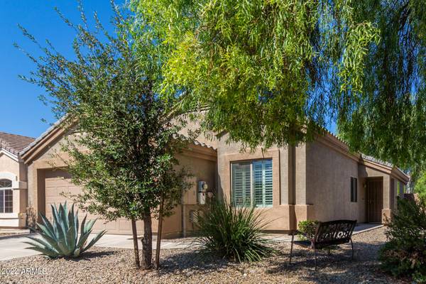 El Mirage, AZ 85335,12518 W LISBON Lane