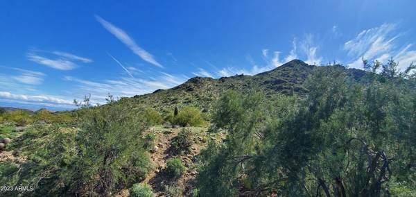 Queen Creek, AZ 85144,0 W Skyline Drive #-