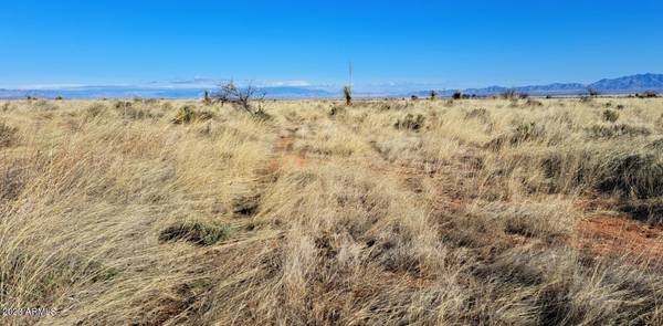 Pearce, AZ 85625,83 ACRE Knox Street #-