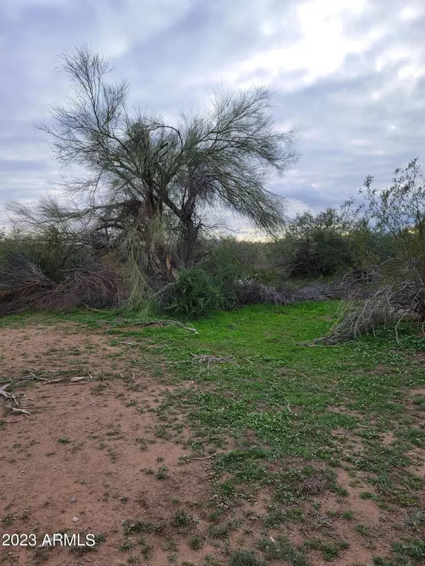 Tonopah, AZ 85354,0 W Orangewood Avenue #'-'