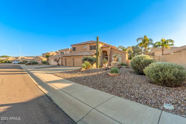 Chandler, AZ 85226,6151 W SHANNON Street