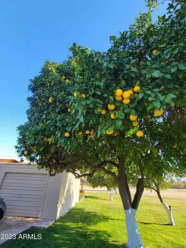 Sun City, AZ 85351,10207 W SNEAD Circle S