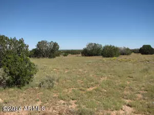 5873 Canyon View, Lot 101 Drive #101, Heber, AZ 85928