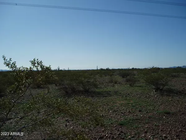 Unincorporated County, AZ 85361,30275 W Dove Valley Road #137