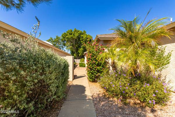 Mesa, AZ 85205,4725 E BROWN Road #40