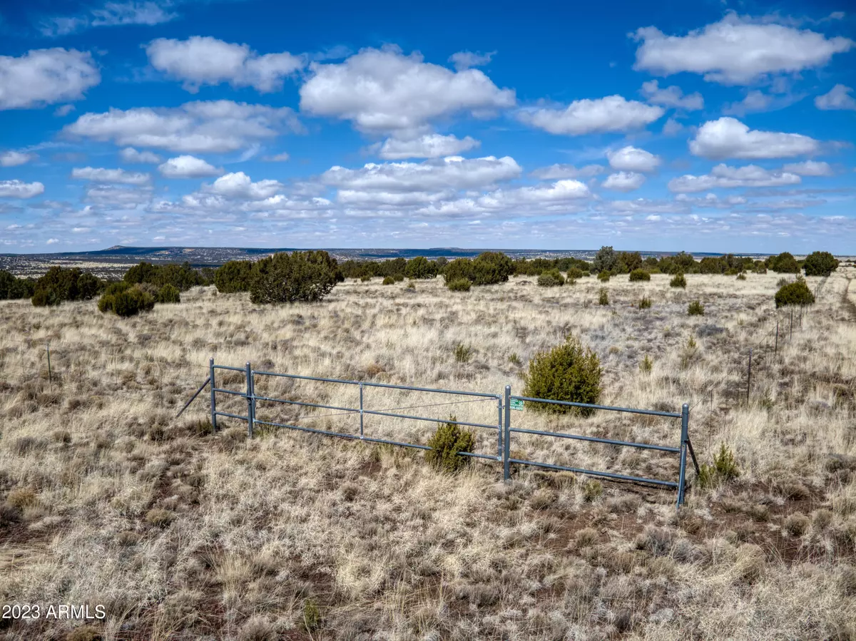 Vernon, AZ 85940,0 Lot 69 Pine Ridge Ranch -- #69