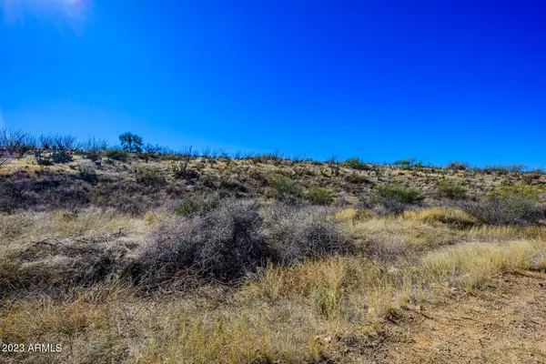 Vail, AZ 85641,1064 S GARFIELD Avenue #00052