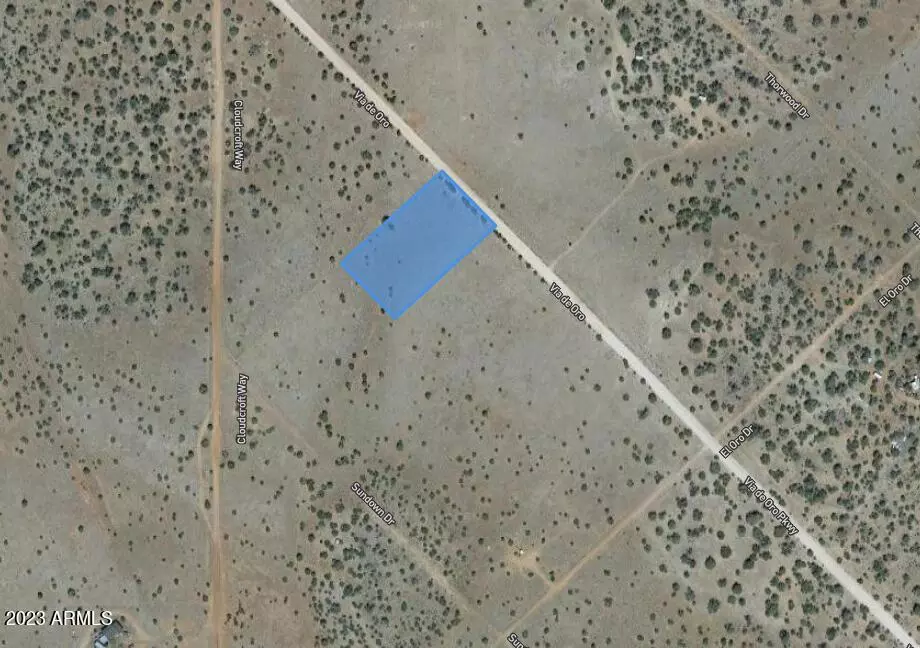 Seligman, AZ 86337,53800 N VIA DE ORO Parkway #1487