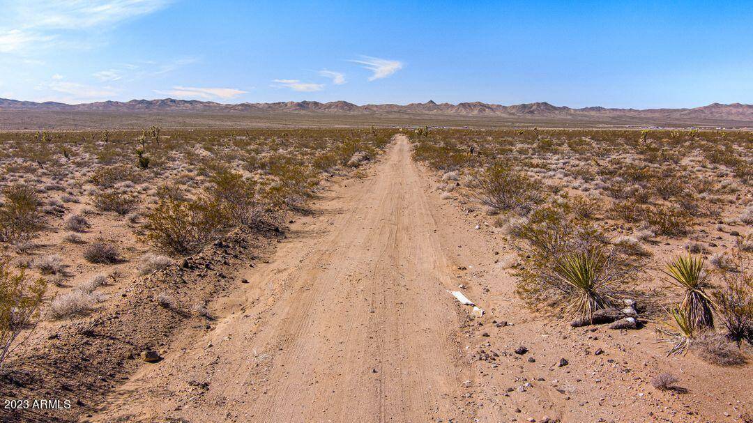 Dolan Springs, AZ 86441,19169 N Cowboy Road #59