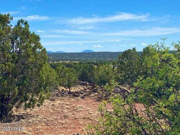 Pines Unit 9 Lot 159 -- #159, Concho, AZ 85924