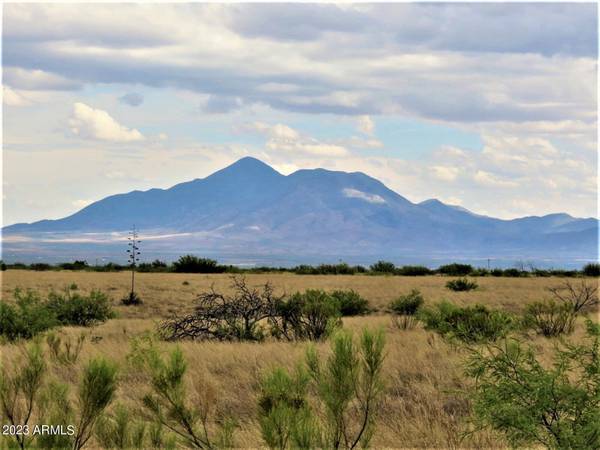 Hereford, AZ 85615,80 Acres La Pradera -- #14